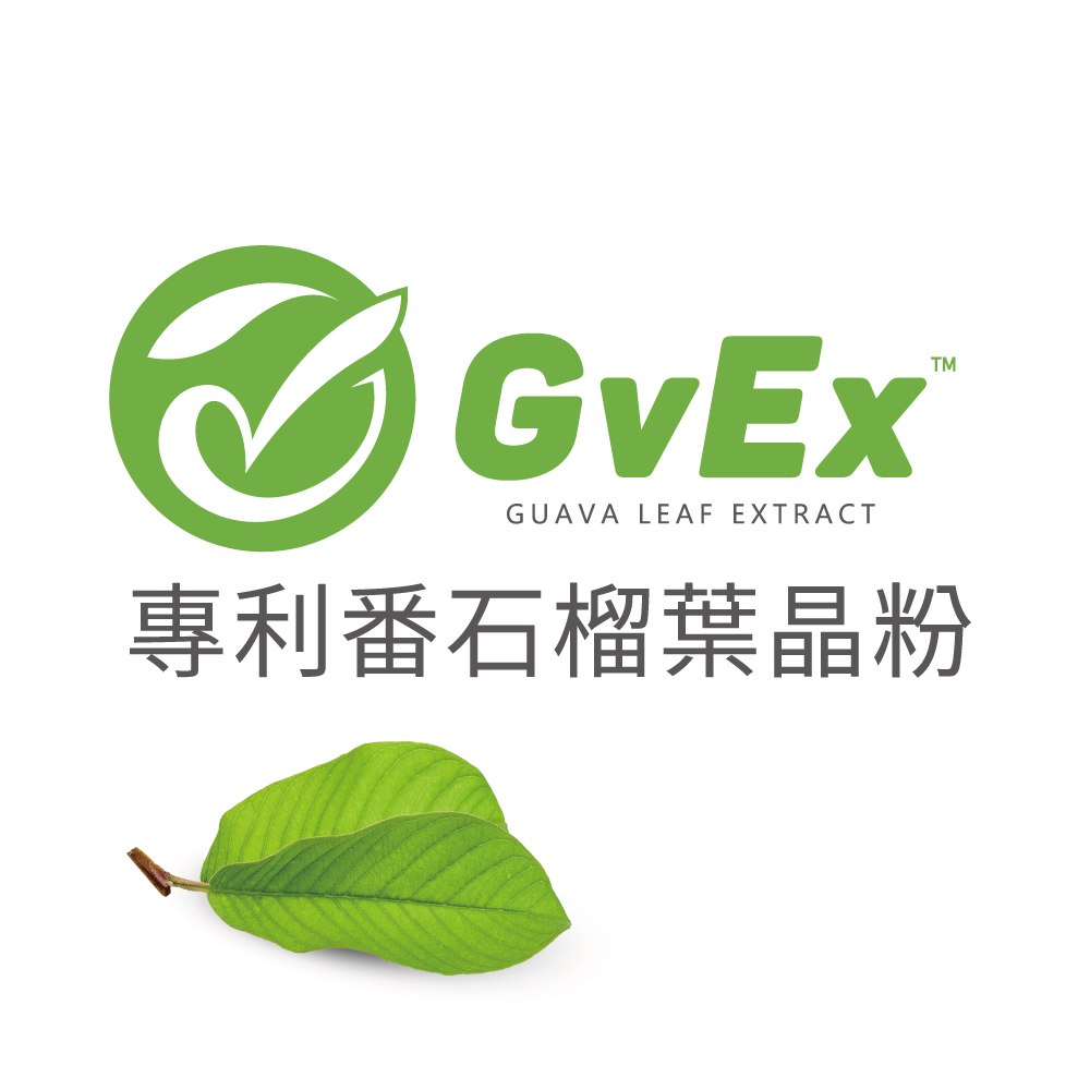 漢馨-GvEx番石榴葉晶粉-2023